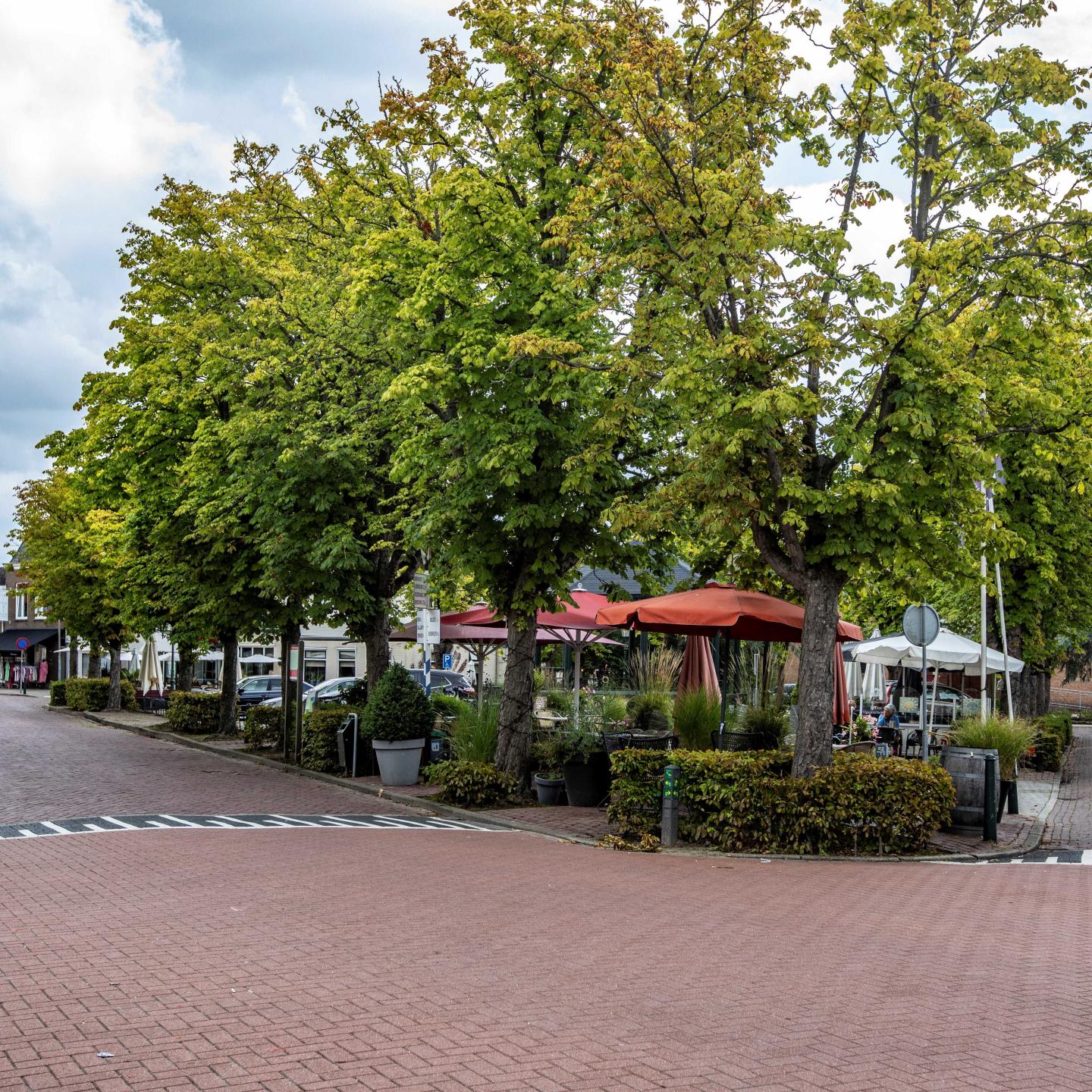 Groep mensen onder parasols die genieten van mosselfeest