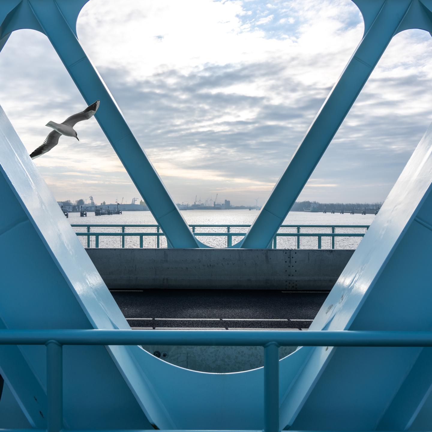 Detailfoto staal sluisbrug met voorbij vliegende zeemeeuw