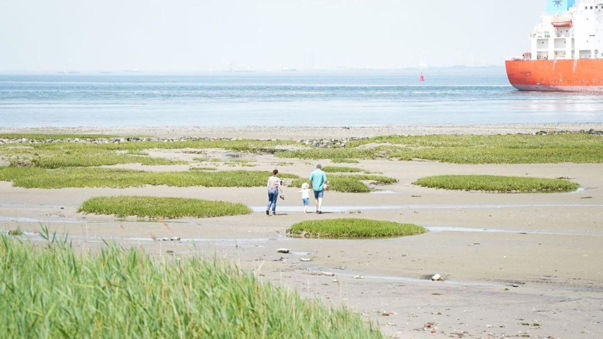 Wandel- en fietsroutes