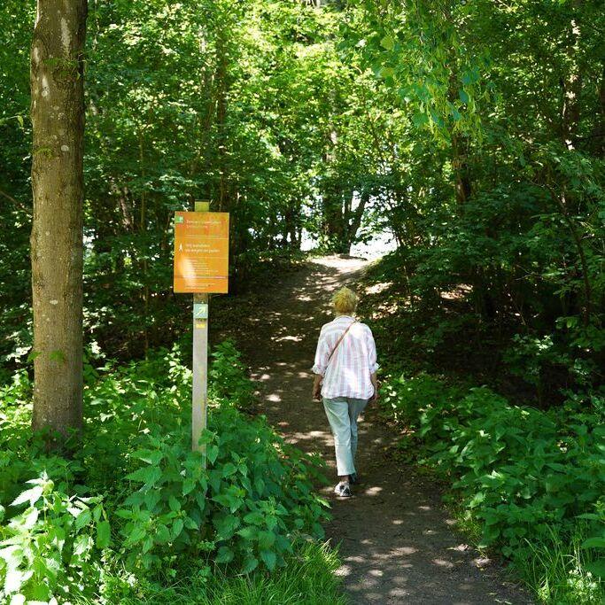 vrouw loopt op bospaadje omringd door groen
