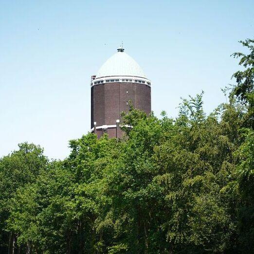 watertoren van Axel steekt boven een rij bomen uit