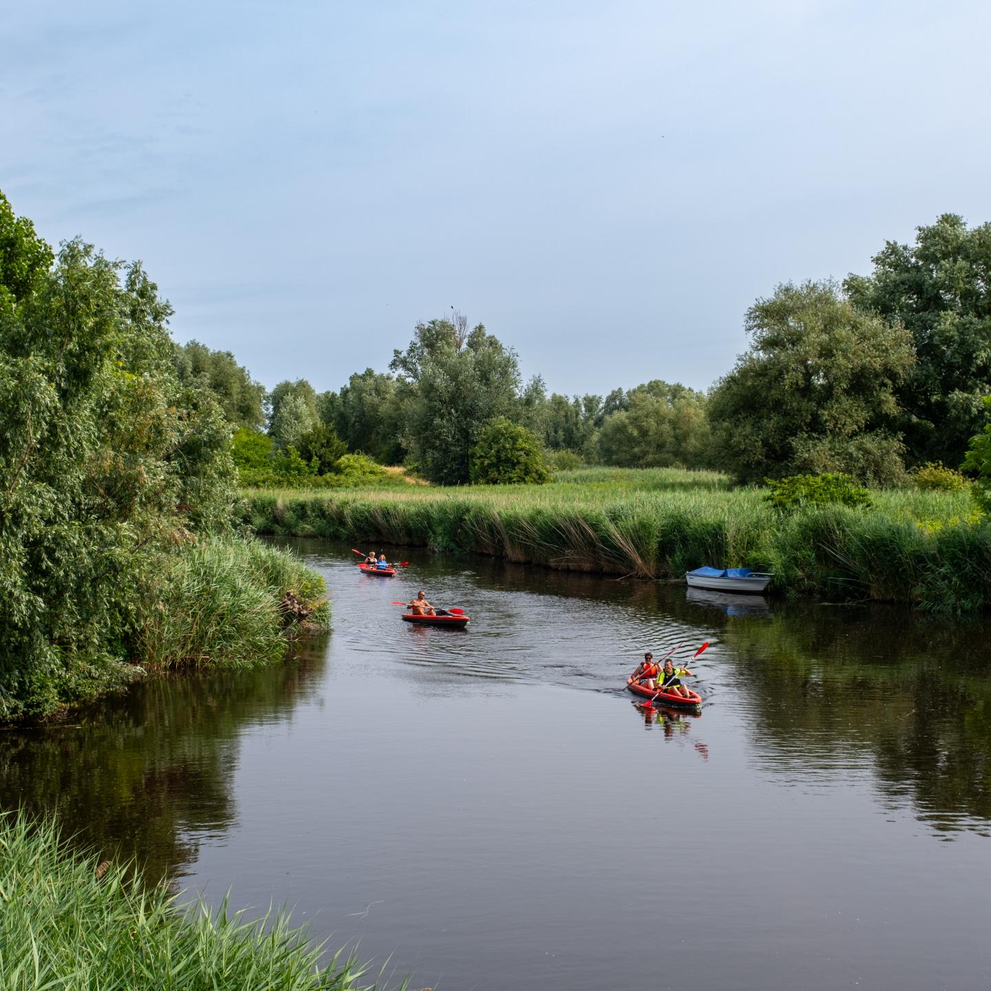 Drie kano's op een mooie smalle kreek midden in de natuur