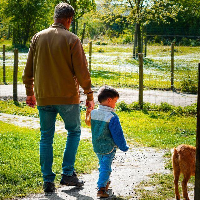 Man met jonge (klein)zoon loopt over een paadje bij de kinderboerderij waar ook geitjes los rondlopen.