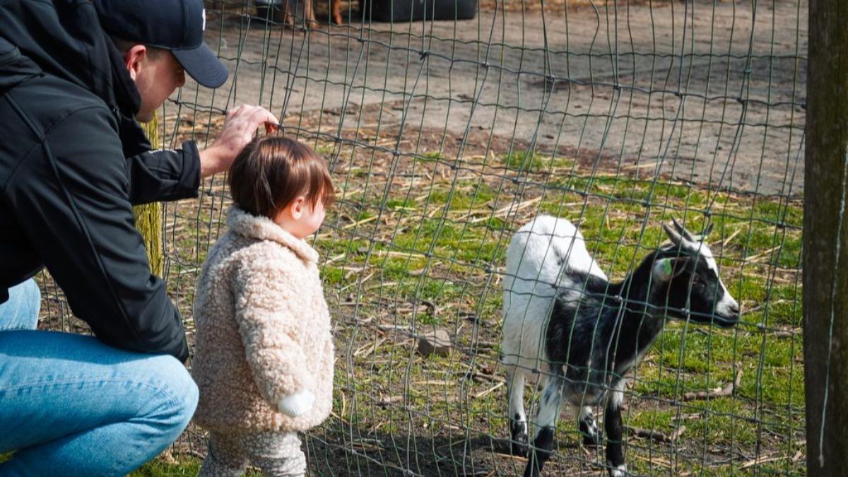 Kinderboerderij