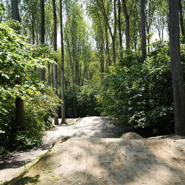 Crossheuvels tussen de bomen in het natuurspeelbos in Axel