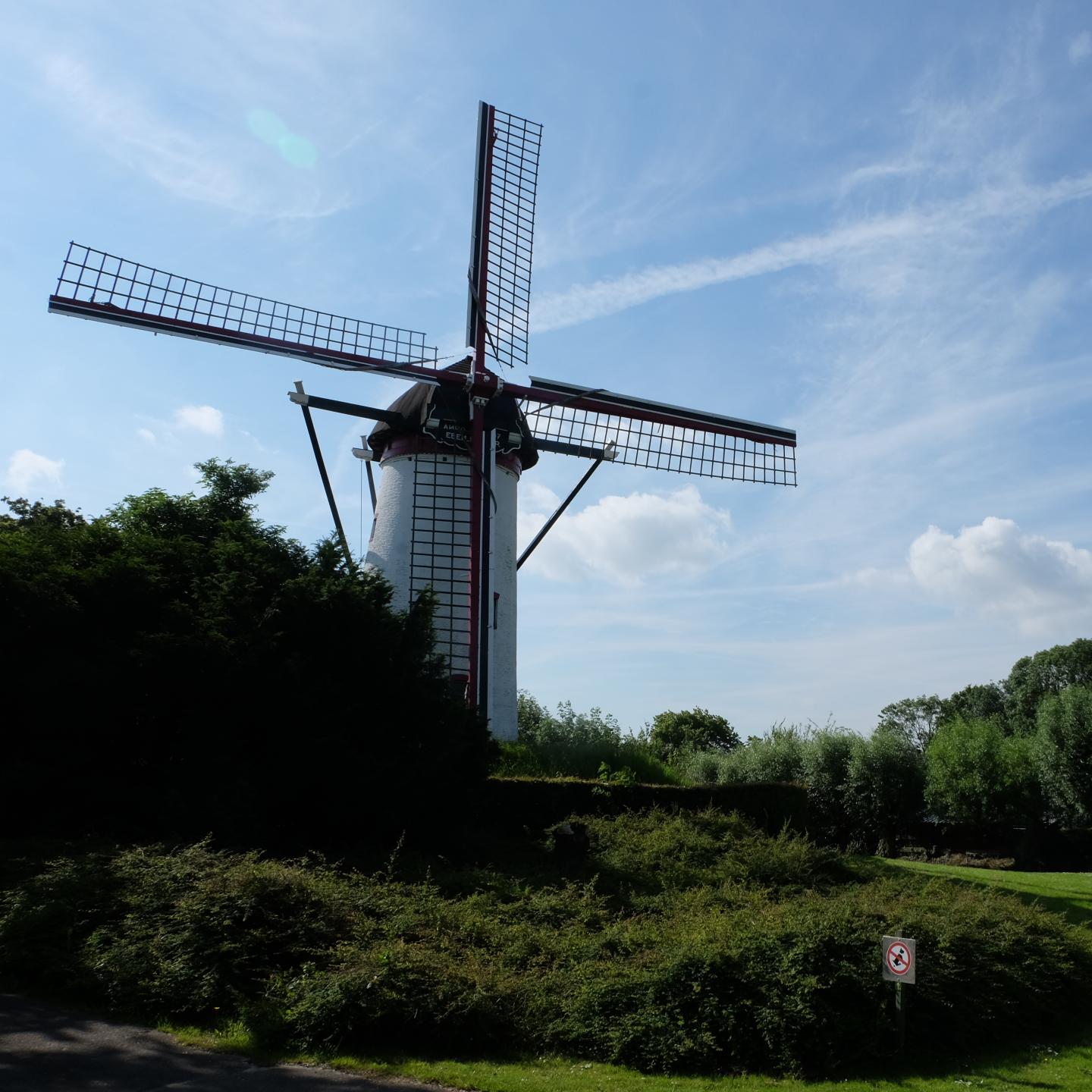Witte molen van Spui in groene omgeving