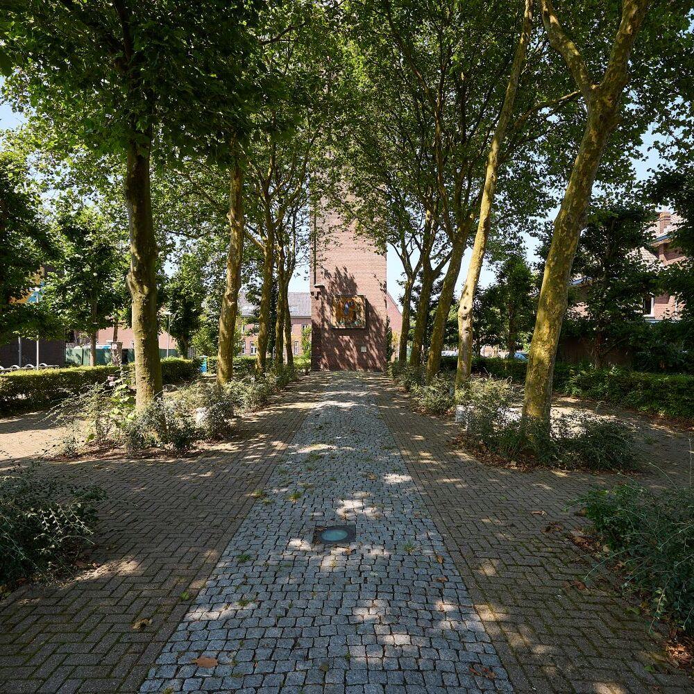 Foto genomen vanaf de plek waar ooit het schip van de kerk stond en waar nu hoge bomen staan