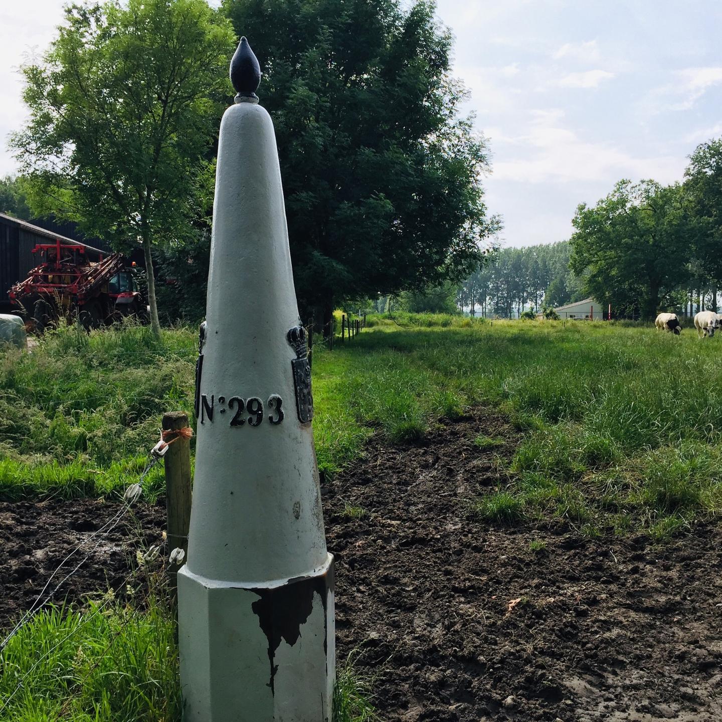 Grenspaal 293 bij weiland met koeien in Rode Sluis