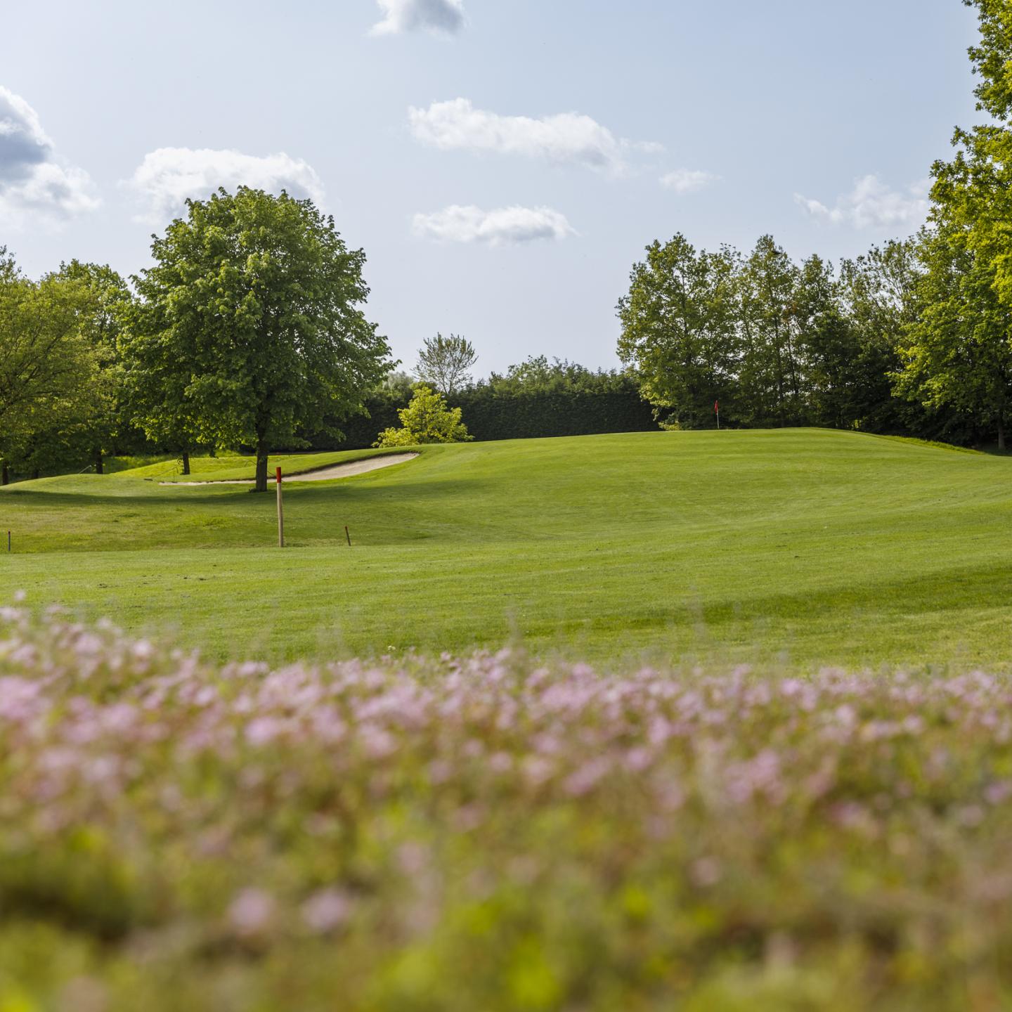 Green met op voorgrond bloemetjes en op achtergrond bomen en een hole