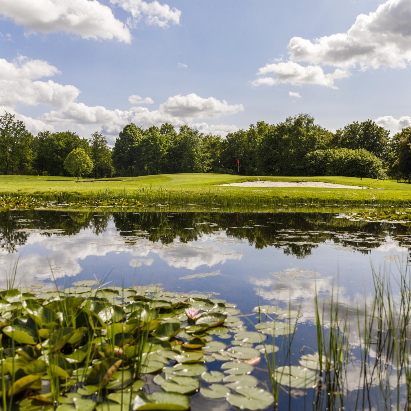 Water met waterlelies met daar achter de golfbaan en bomen