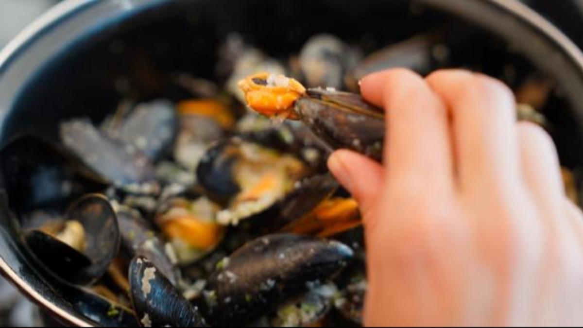 Mosselseizoen in Philippine - Proef de smaak van Zeeuws-Vlaanderen