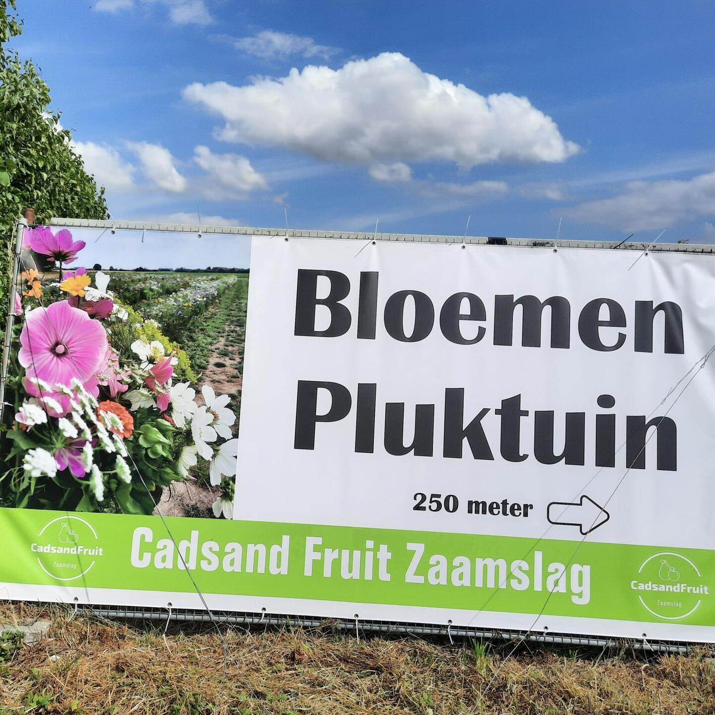 Welkomstbord Bloemen pluktuin Cadsand Fruit Zaamslag