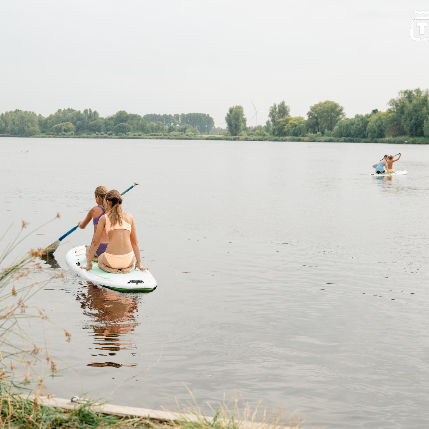 Kinderen op suboards op de kreek