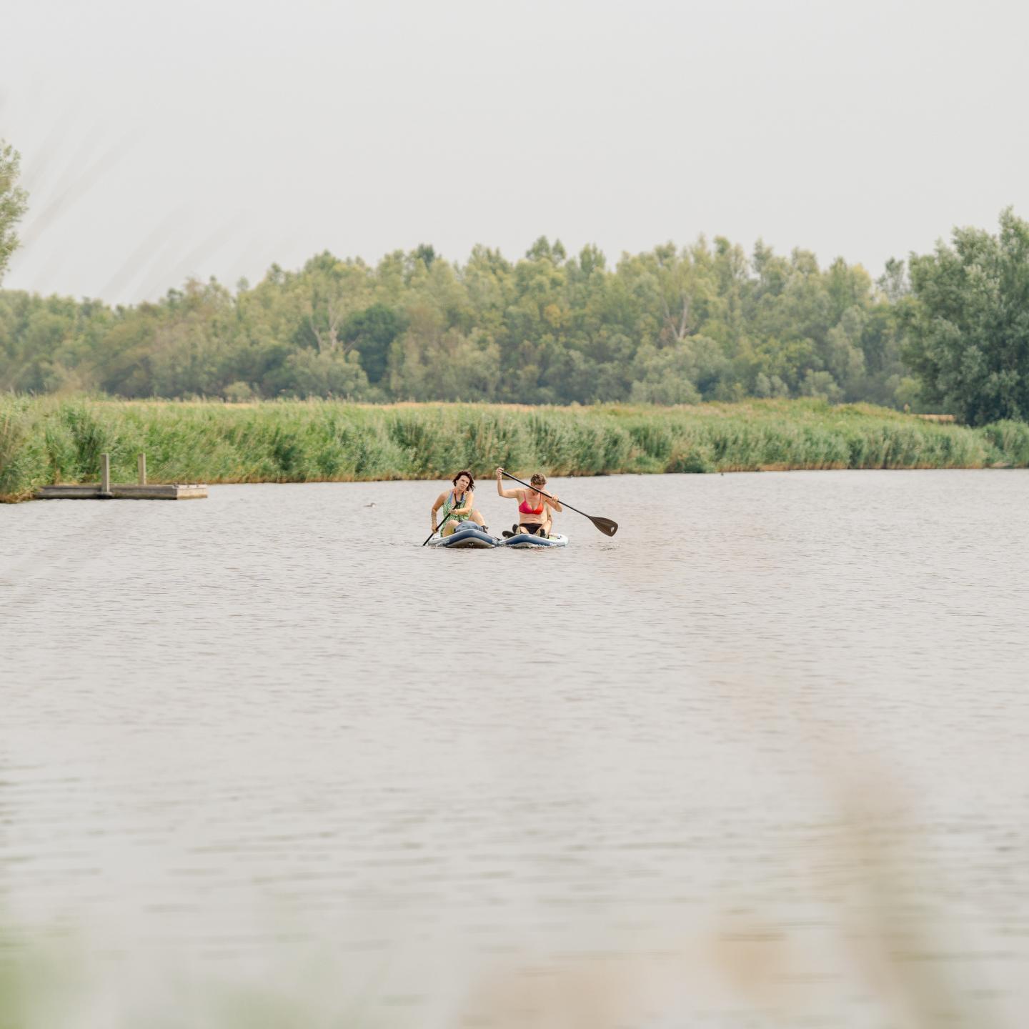 Kinderen op supboard op de kreek